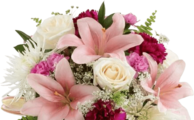 pink-flowers